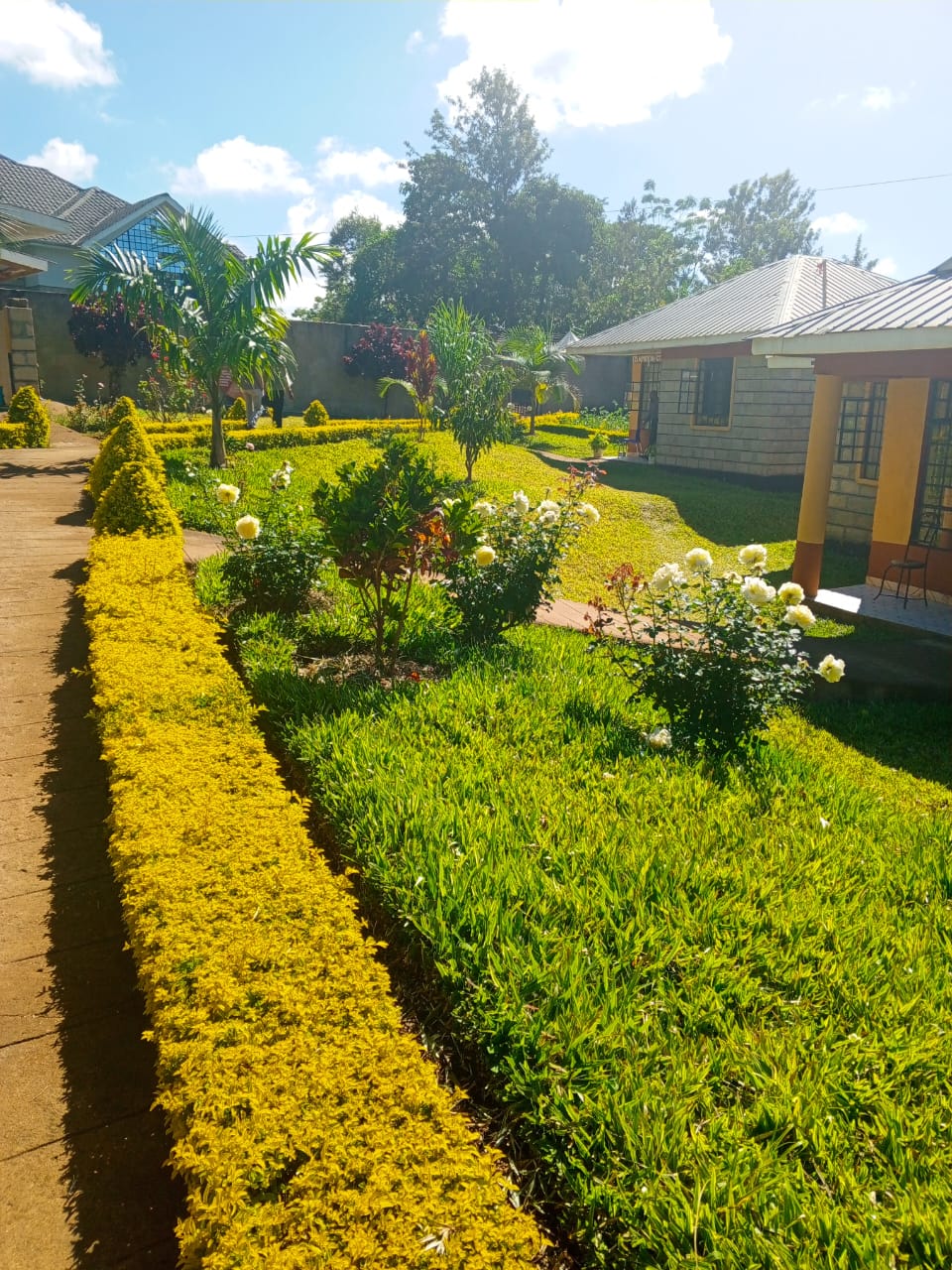 Therapeutic gardens at Harmony Therapy Centre